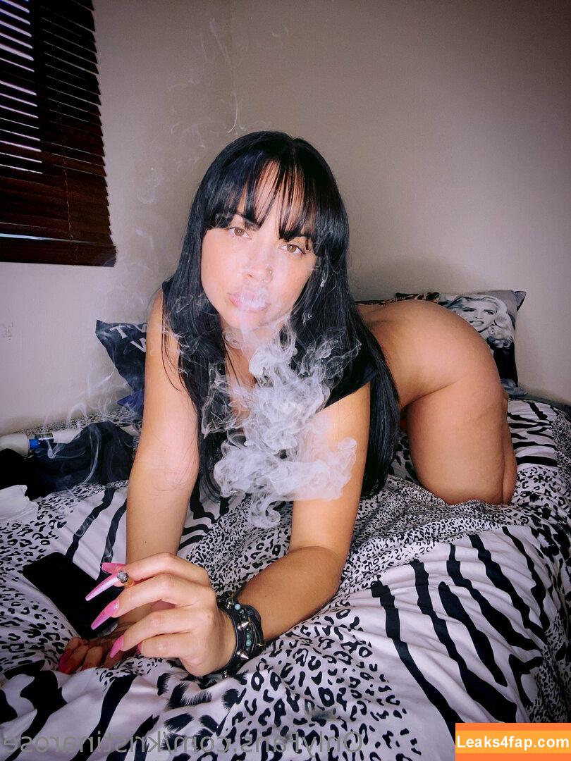 Kristina Rose / KristinaRosexxx / kristinarose / kristinaroseofficalpage слитое фото фото #0066