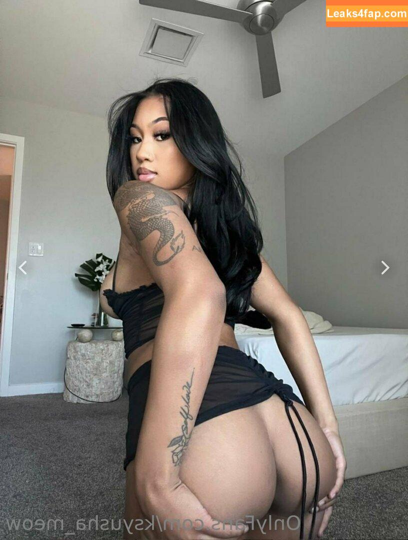 ksyusha_meow / _iamksyusha_ leaked photo photo #0164