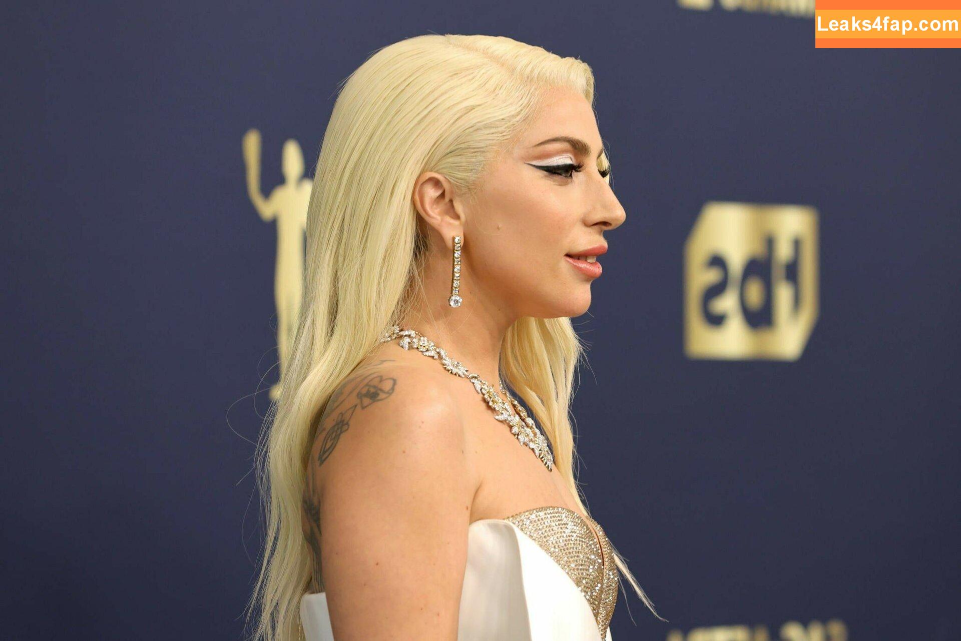 Lady Gaga / ladygaga leaked photo photo #0022