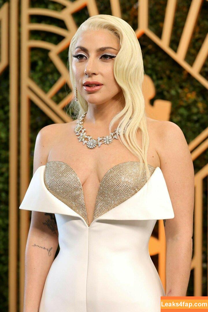 Lady Gaga / ladygaga leaked photo photo #0025
