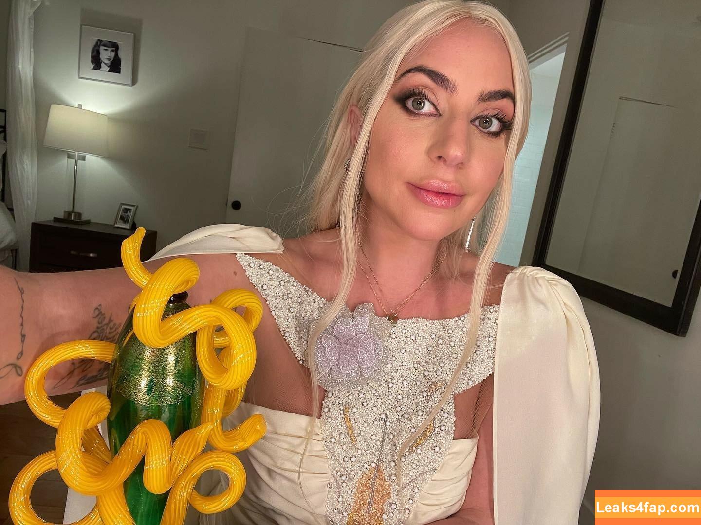 Lady Gaga / ladygaga leaked photo photo #0039
