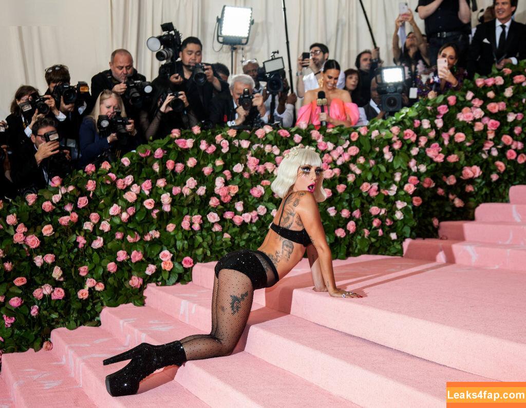 Lady Gaga / ladygaga leaked photo photo #0424