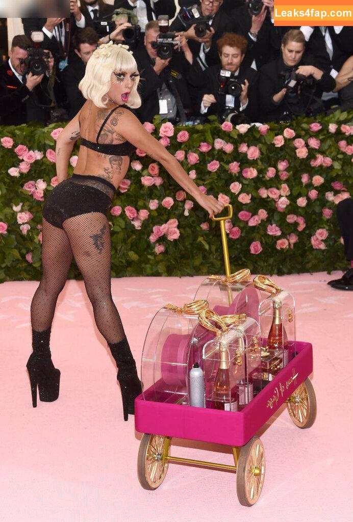 Lady Gaga / ladygaga leaked photo photo #0425