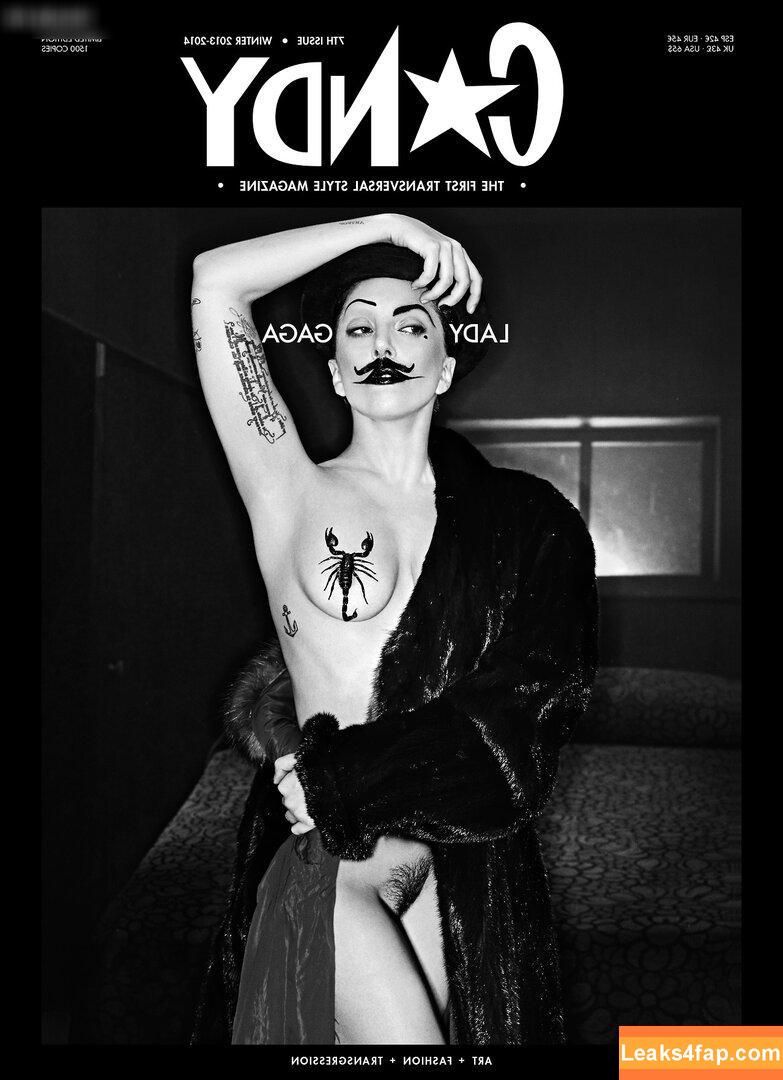 Lady Gaga / ladygaga leaked photo photo #0767
