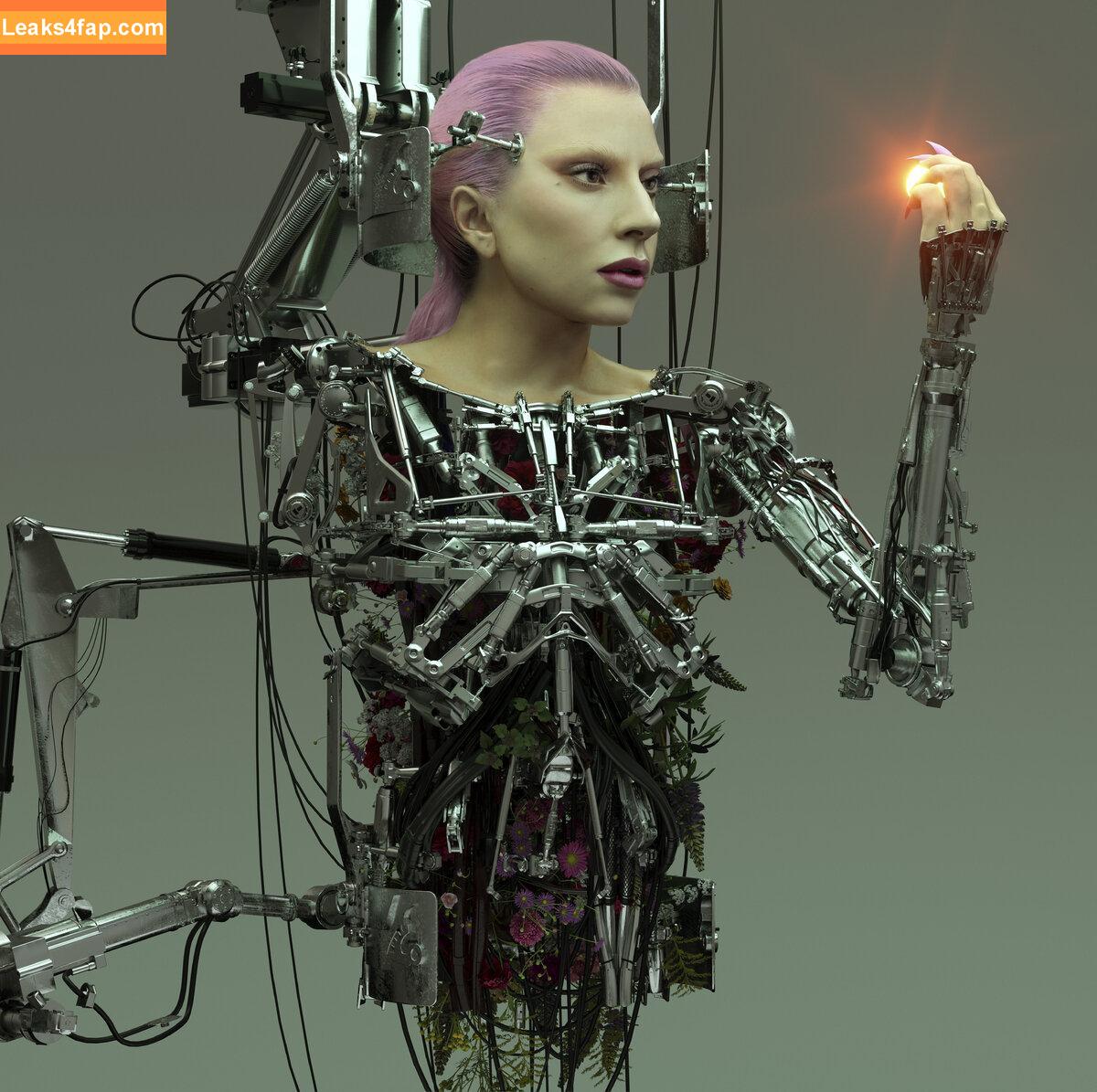 Lady Gaga / ladygaga leaked photo photo #0880