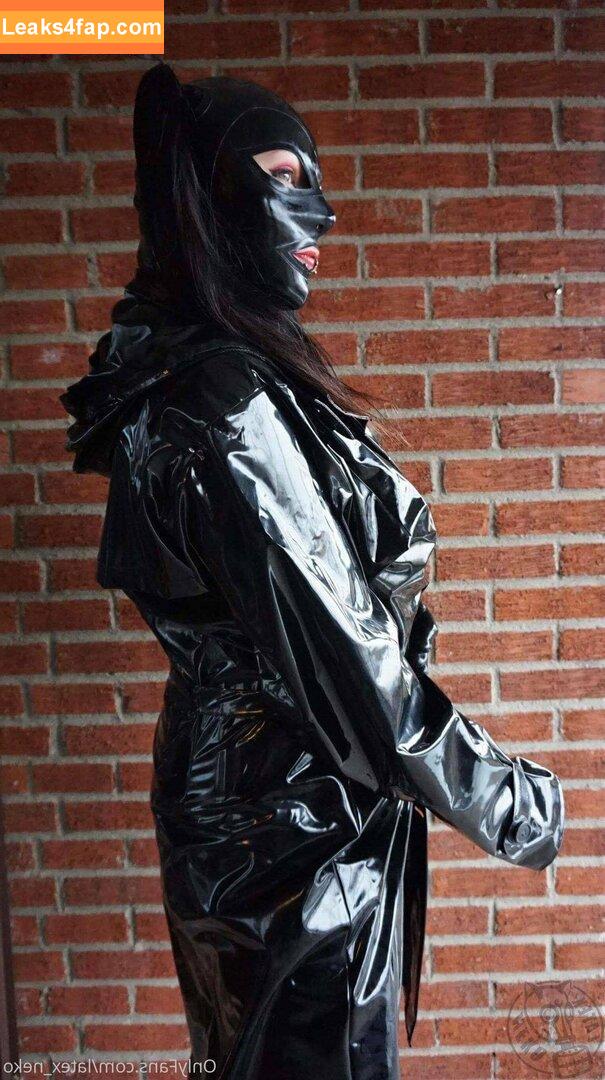 latex_neko /  leaked photo photo #0006