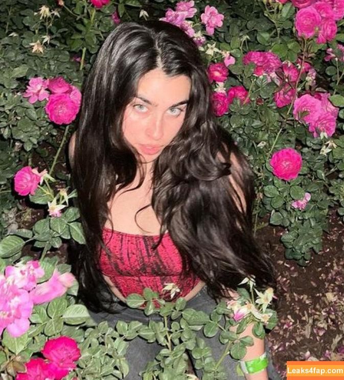 Lauren Jauregui / laurenjauregui / laurenjaureguii слитое фото фото #0591