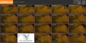 laurenkimripley photo #1382