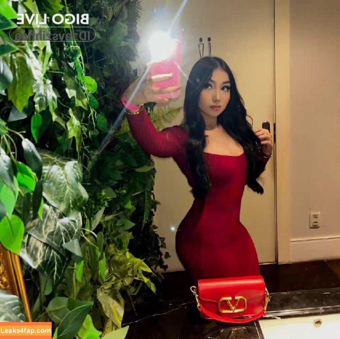 layszinhaa /  leaked photo photo #0004