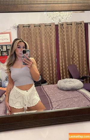 Leafsnlifts photo #0021