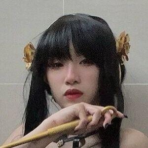 leezipotato photo #0017