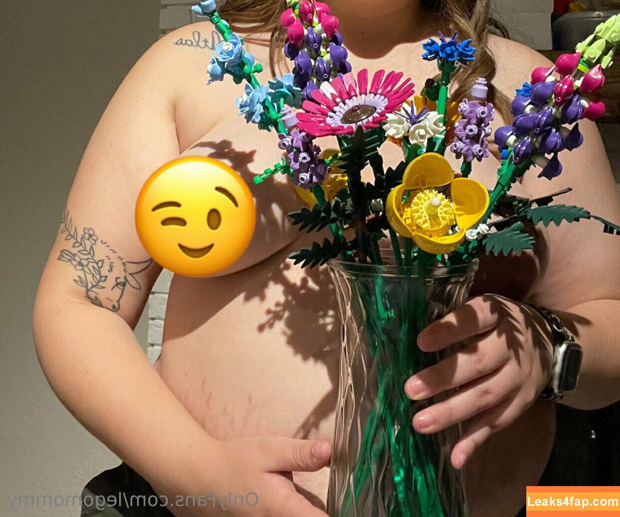 legomommy / thelegomommy leaked photo photo #0004