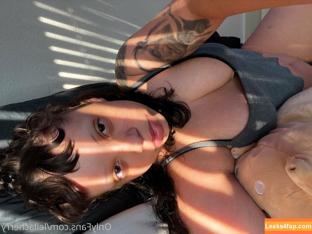 leilacherry / leilacherry_ слитое фото фото #0060