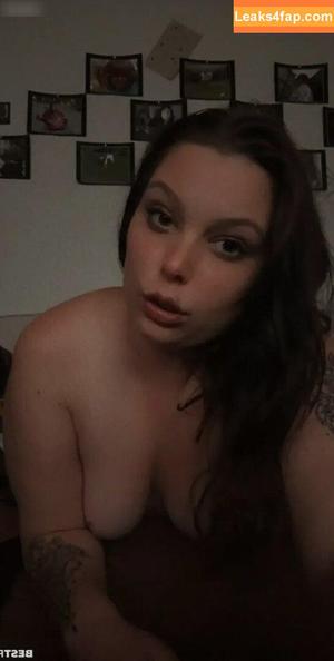 Lelest250 photo #0002
