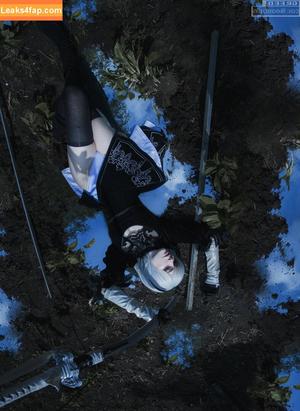 Likeassassin photo #0752