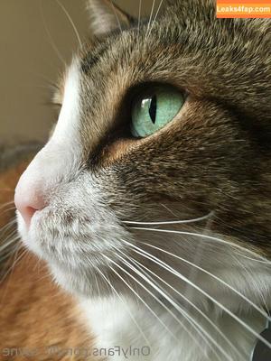 lil_rayne photo #0154