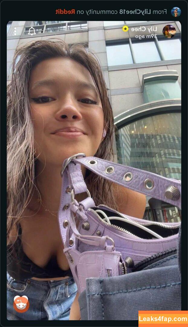 Lily Chee / lilychee leaked photo photo #0244