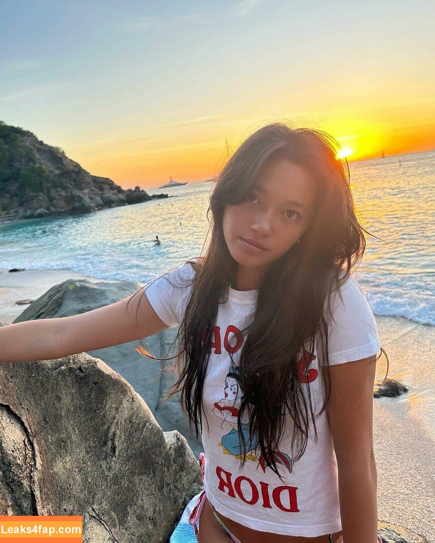 Lily Chee / lilychee leaked photo photo #0433