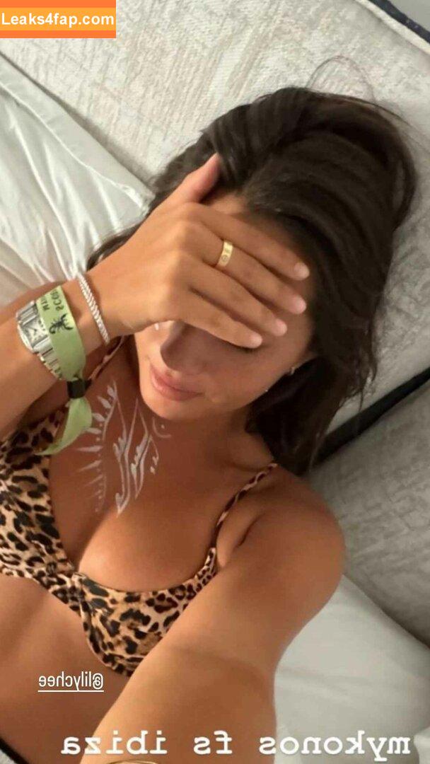 Lilychee /  слитое фото фото #1229