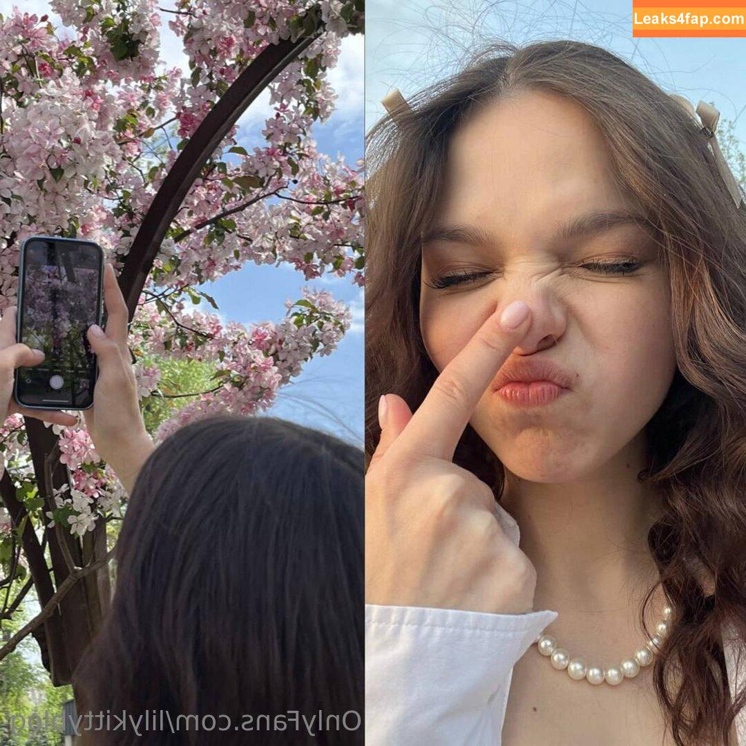 lilykittyblog / itslilykitty leaked photo photo #0016