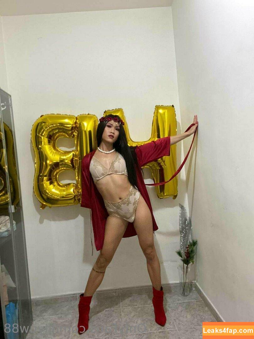 lilyuw88 / ts_lilyuw88 leaked photo photo #0253