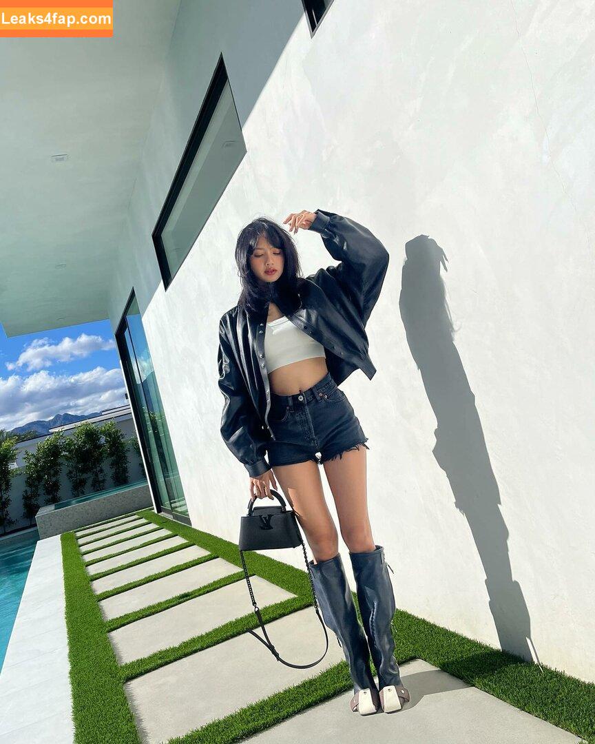 Lisa Blackpink /  слитое фото фото #0040