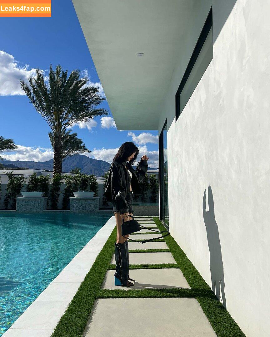 Lisa Blackpink /  слитое фото фото #0042