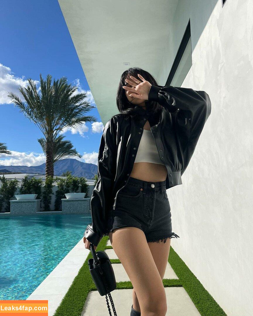 Lisa Blackpink /  слитое фото фото #0046