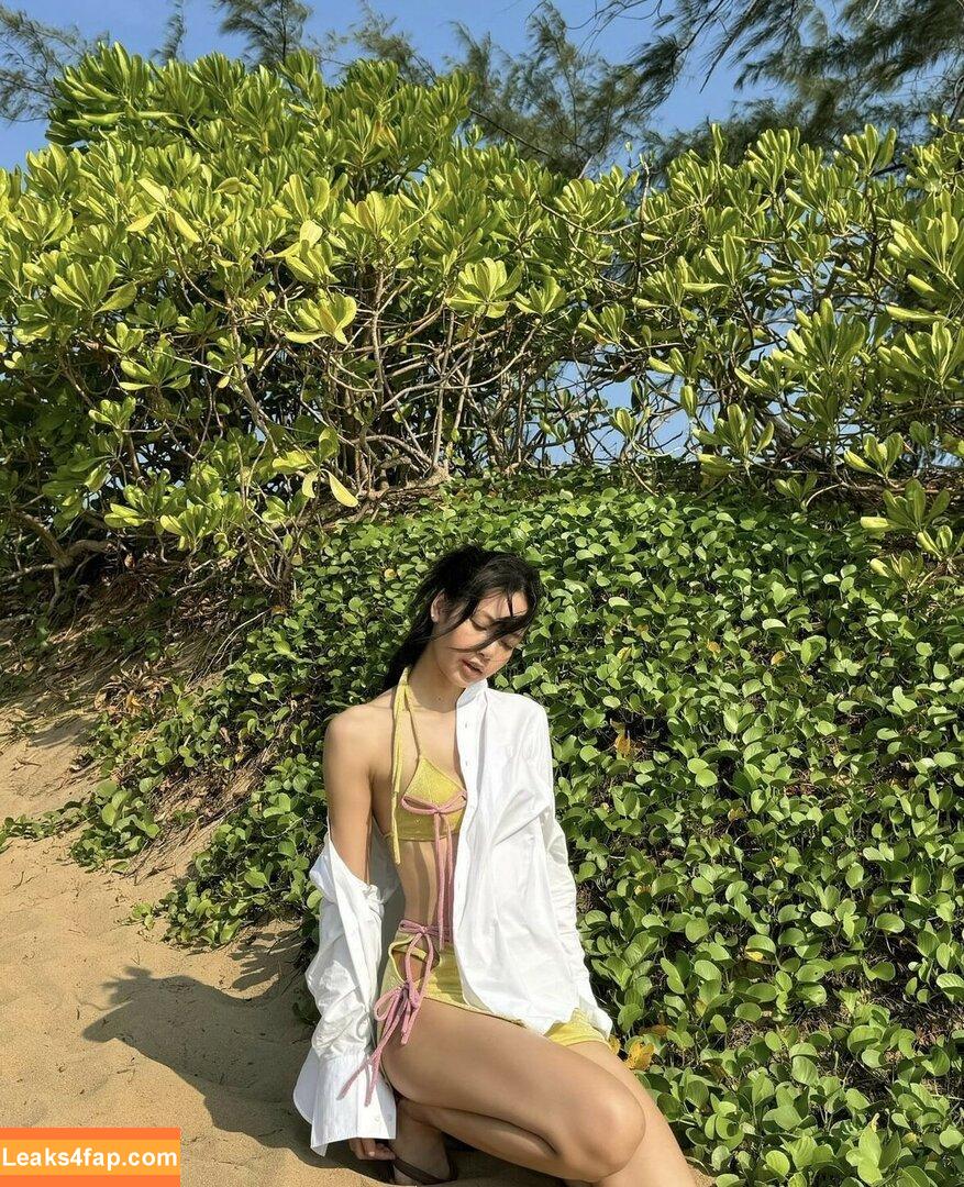 Lisa Blackpink /  слитое фото фото #0049