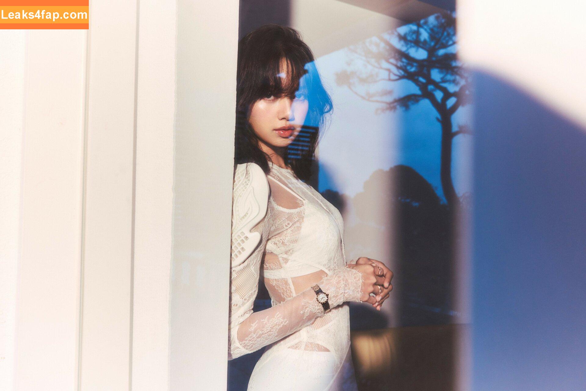 Lisa Blackpink /  слитое фото фото #0075