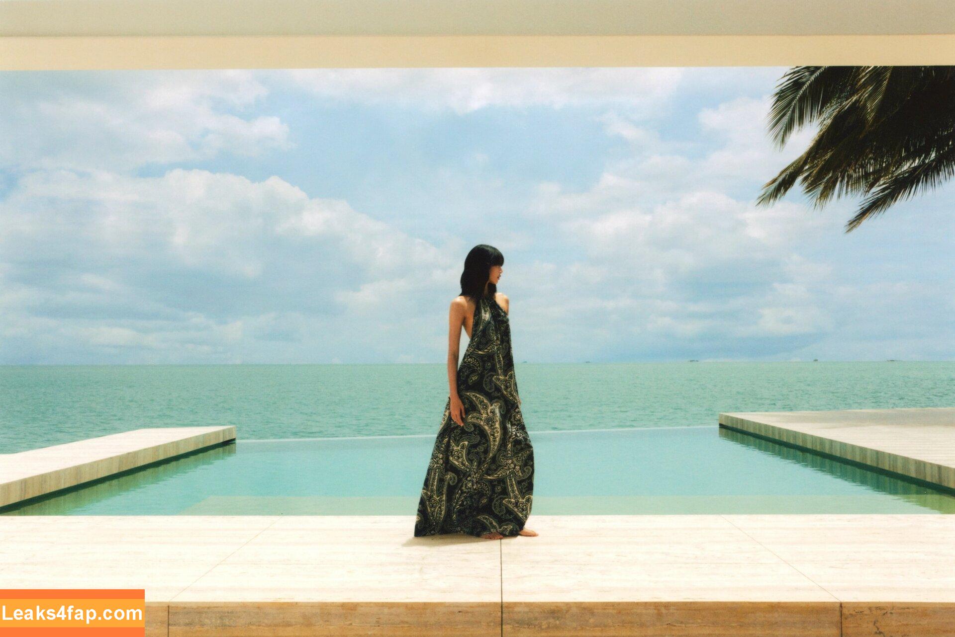 Lisa Blackpink /  слитое фото фото #0083