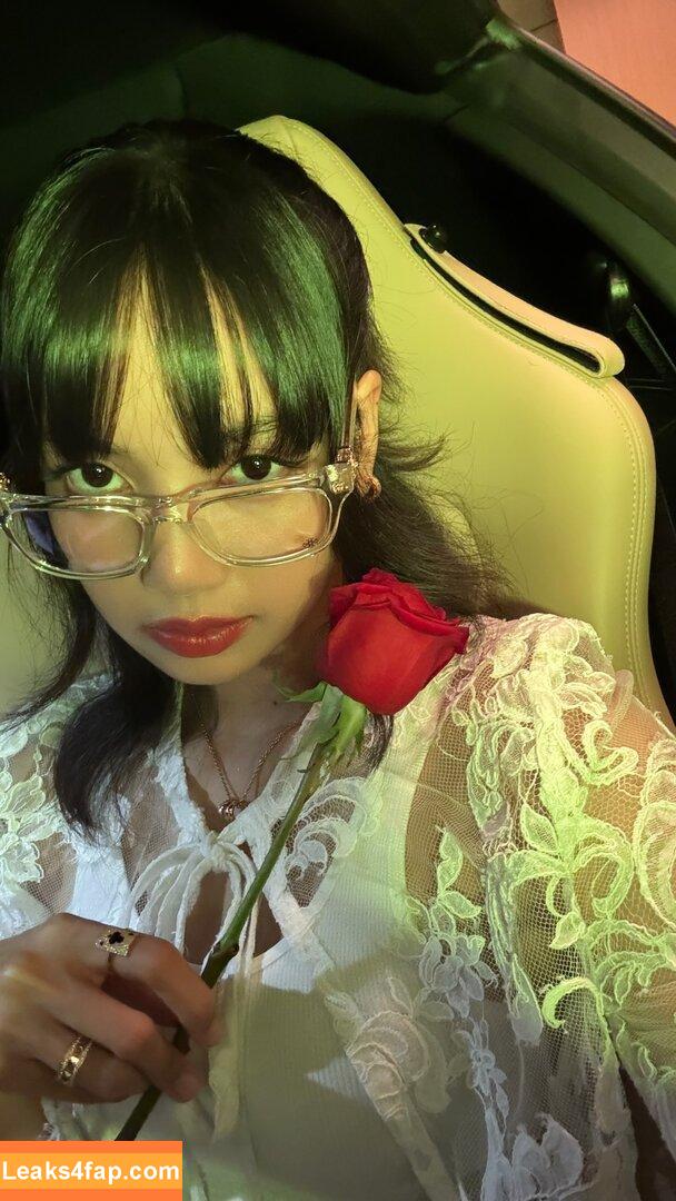 Lisa Blackpink /  слитое фото фото #0114