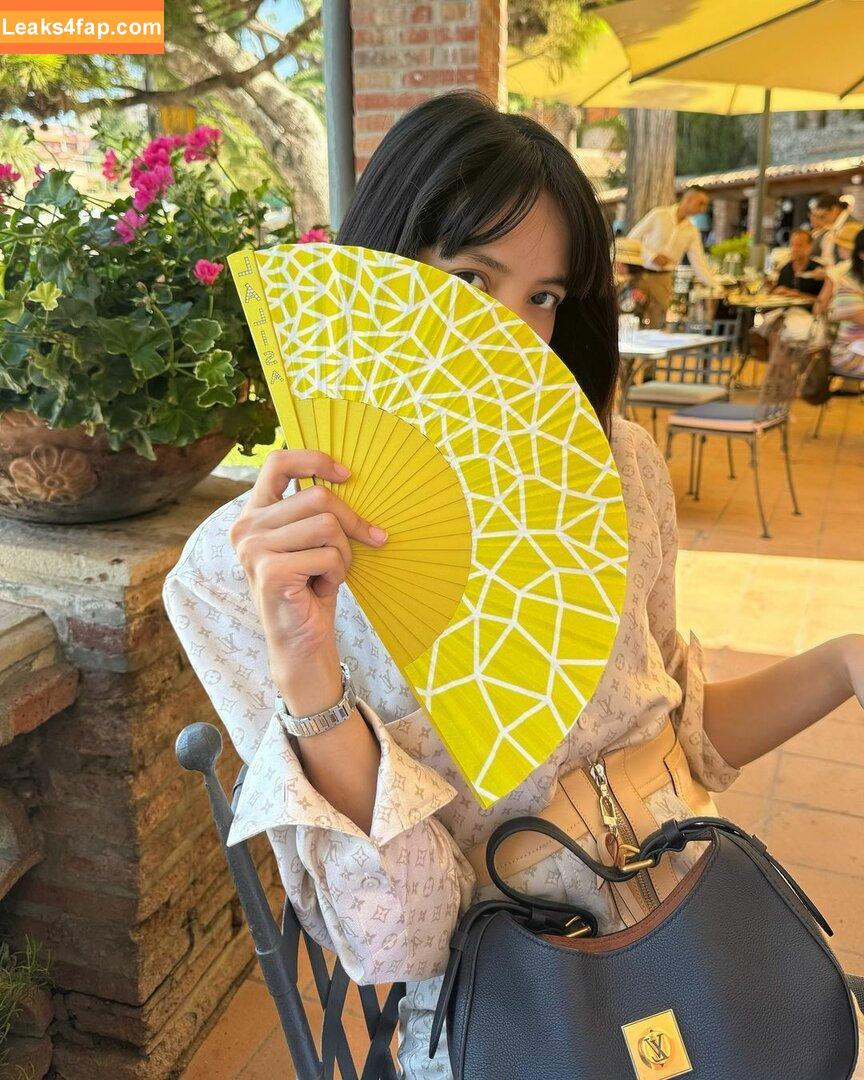 Lisa Blackpink /  слитое фото фото #0145