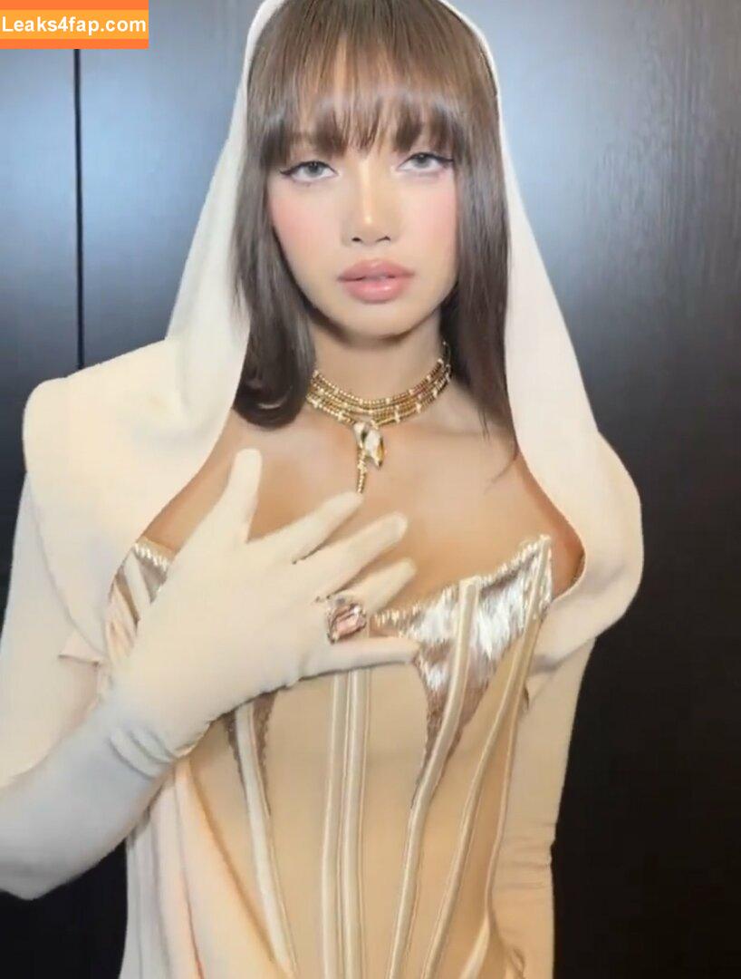 Lisa Blackpink /  слитое фото фото #0223