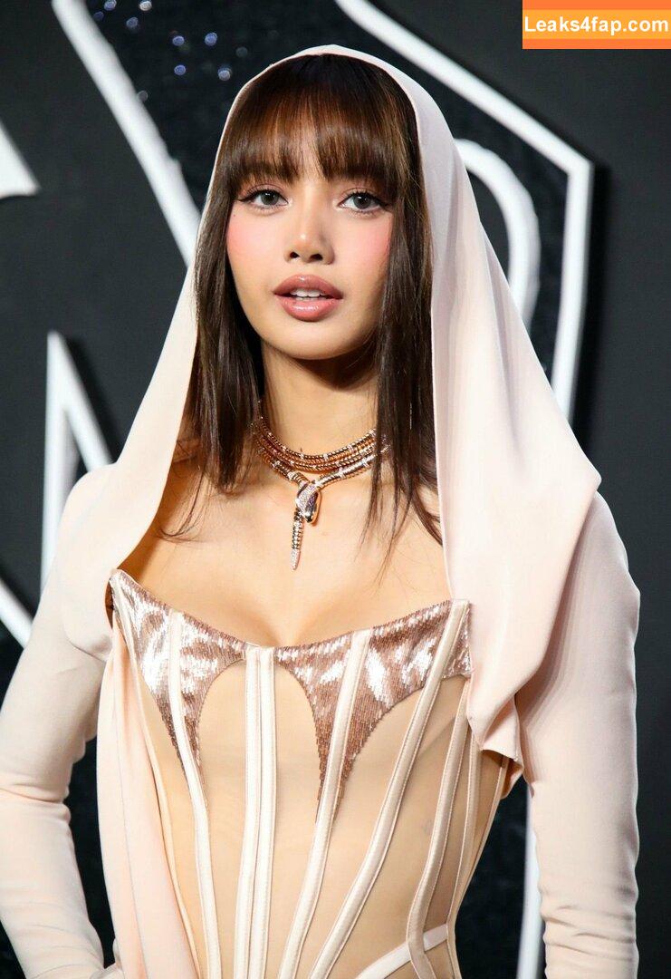 Lisa Blackpink /  слитое фото фото #0233