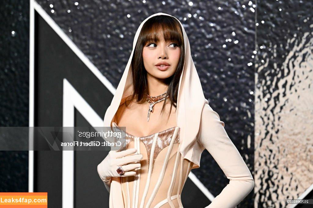 Lisa Blackpink /  слитое фото фото #0248