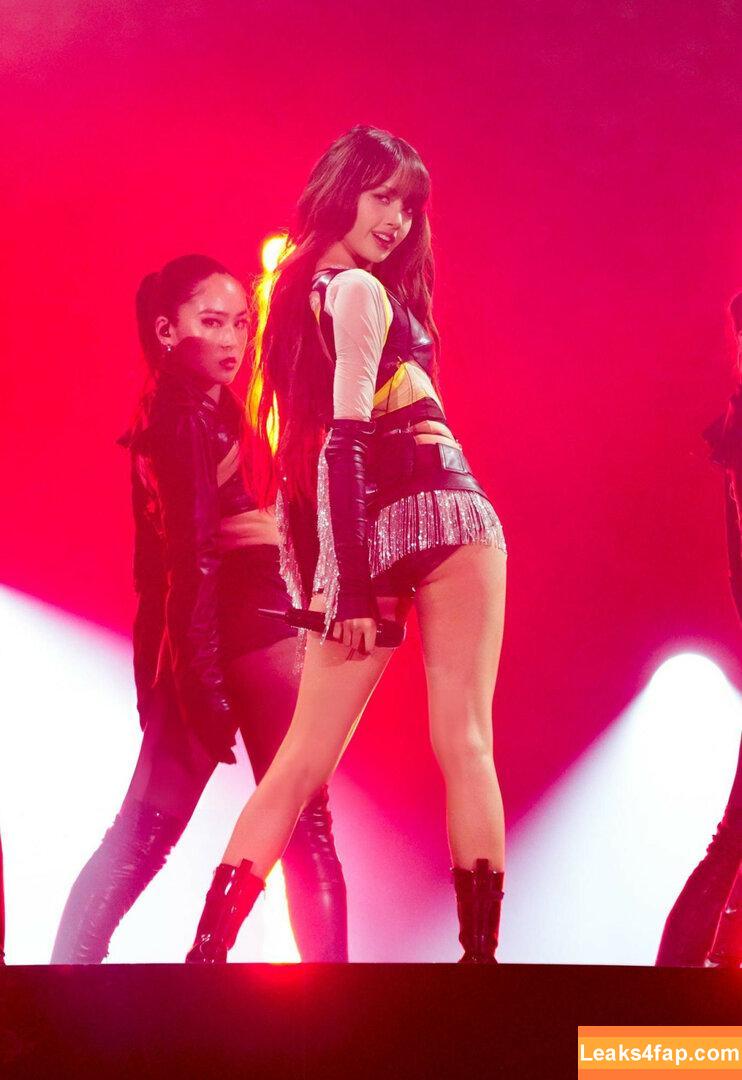 Lisa Blackpink /  слитое фото фото #0339