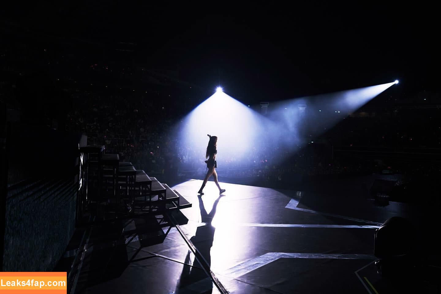 Lisa Blackpink /  слитое фото фото #0803