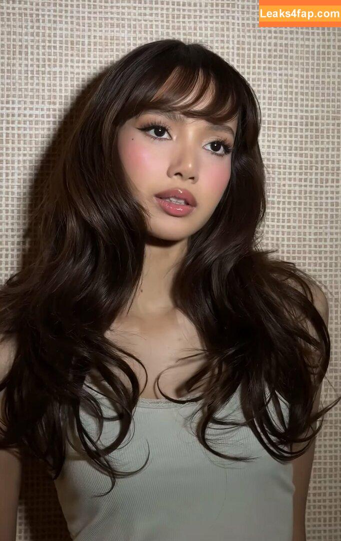 Lisa Blackpink /  слитое фото фото #1022