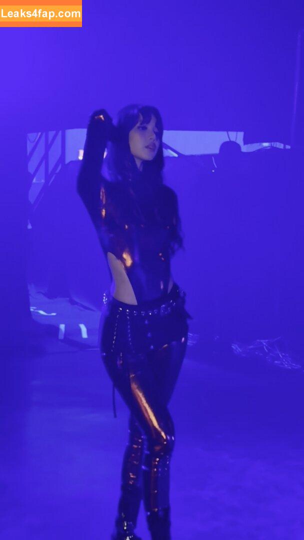 Lisa Blackpink /  слитое фото фото #1029