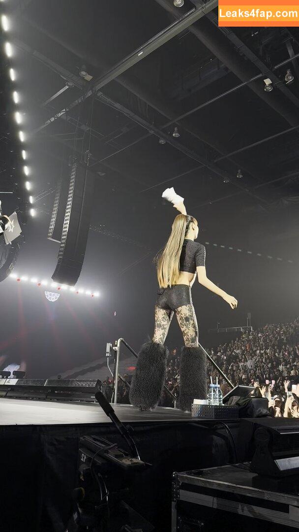 Lisa Blackpink /  слитое фото фото #1041