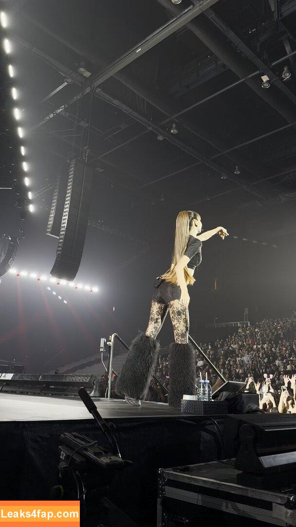 Lisa Blackpink /  слитое фото фото #1042