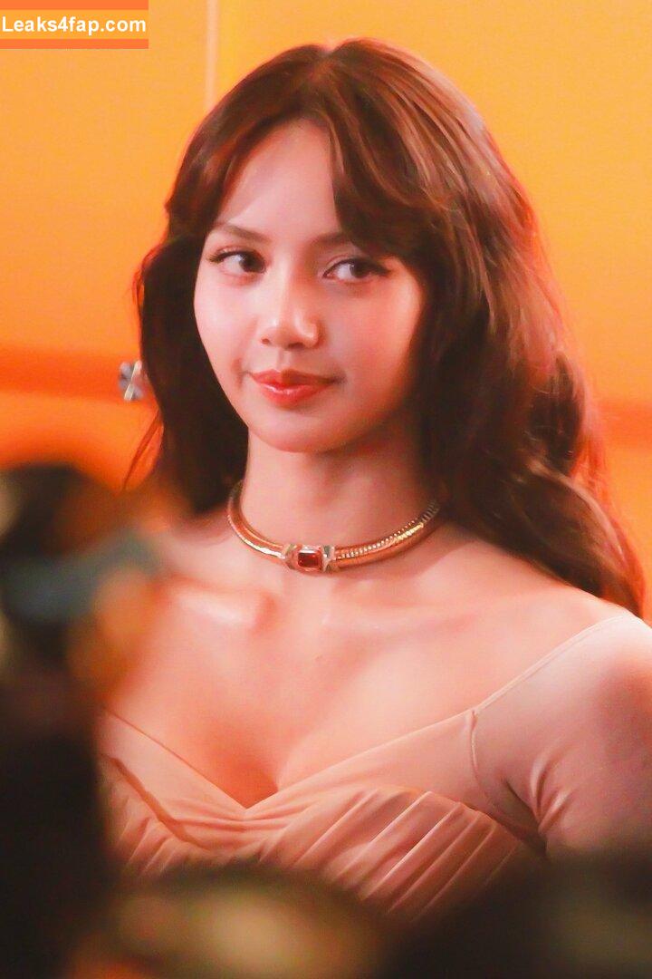 Lisa Blackpink /  слитое фото фото #1079