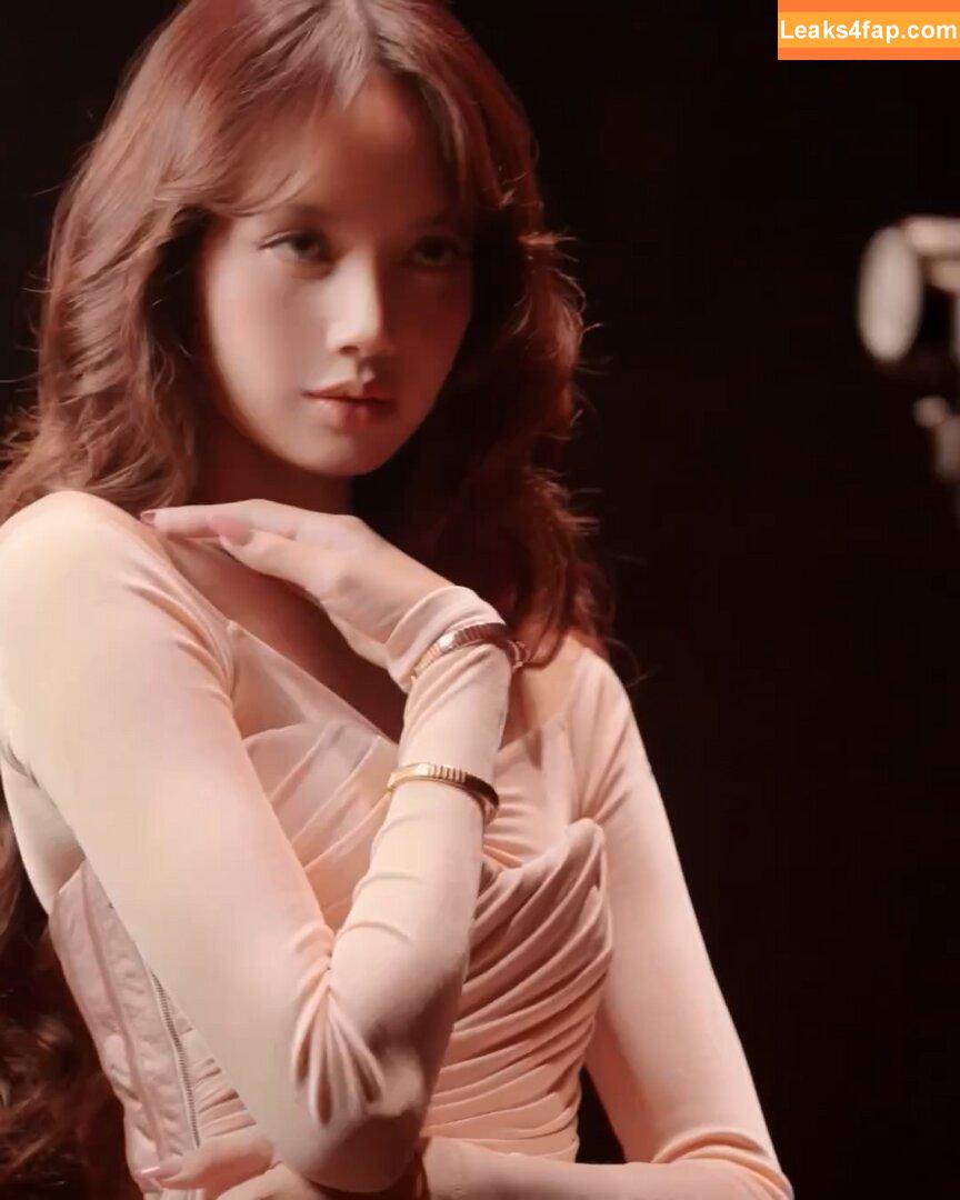 Lisa Blackpink /  слитое фото фото #1129