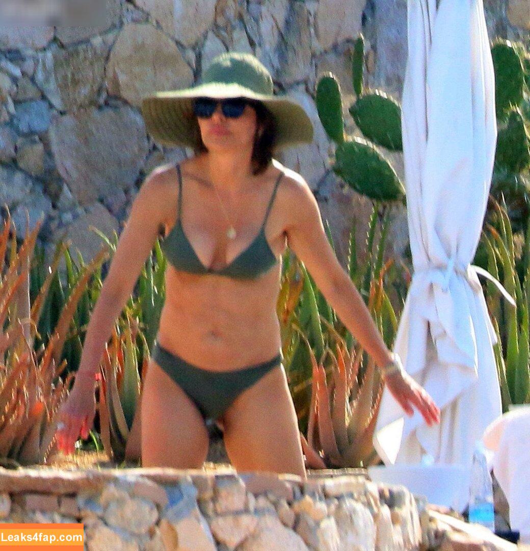 Lisa Rinna / lisarinna leaked photo photo #0268