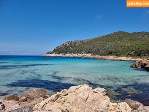 lisa-sack photo #1113