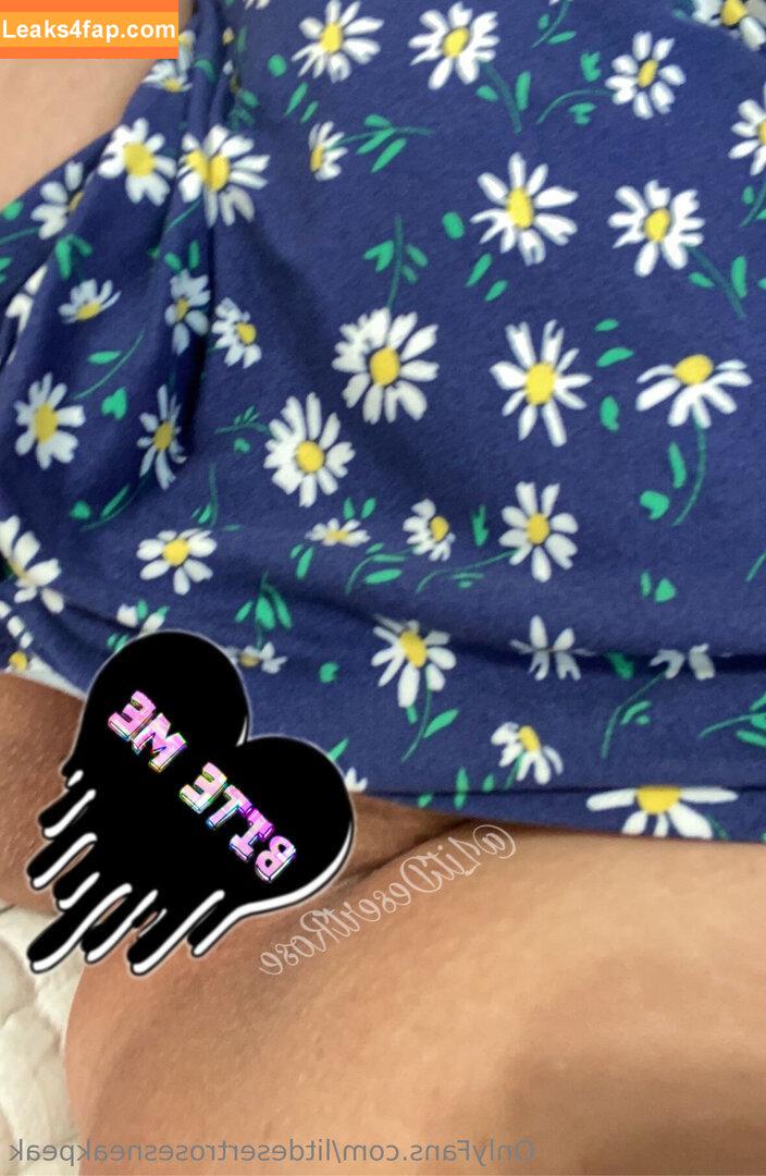 litdesertrosesneakpeak /  leaked photo photo #0007