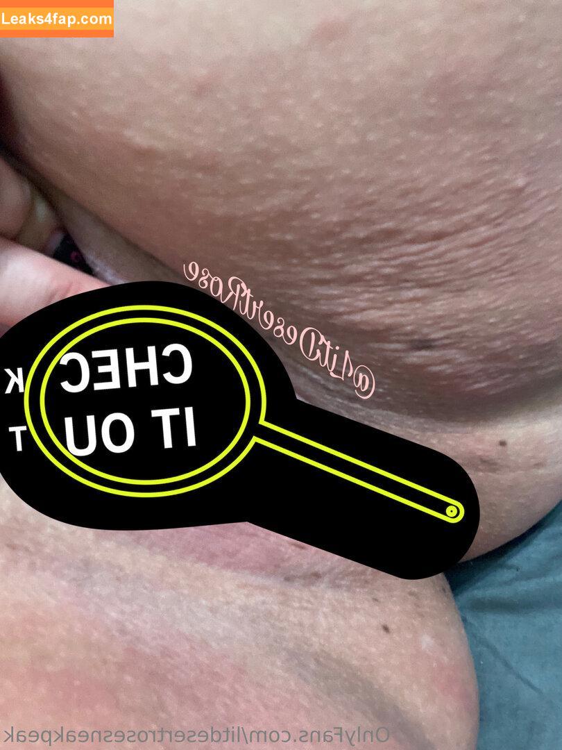 litdesertrosesneakpeak /  leaked photo photo #0009