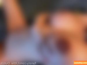 Little_dutch photo #0050