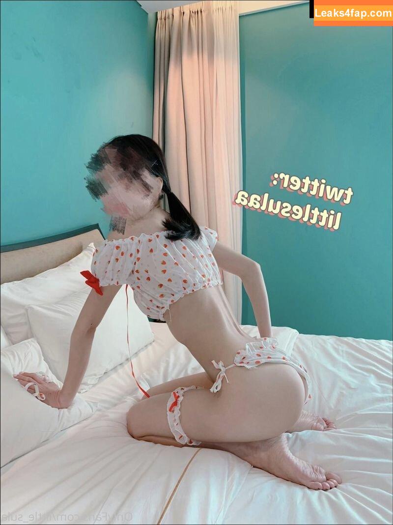 Little_sula / littlesula_ / 리틀설아 слитое фото фото #0042